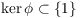 $\ker\phi \subset \{1\}$