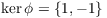 $\ker \phi
   = \{1, -1\}$