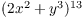 $(2 x^2 + y^3)^{13}$