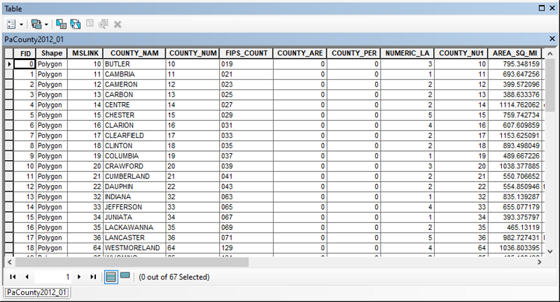 ArcMap attribute table