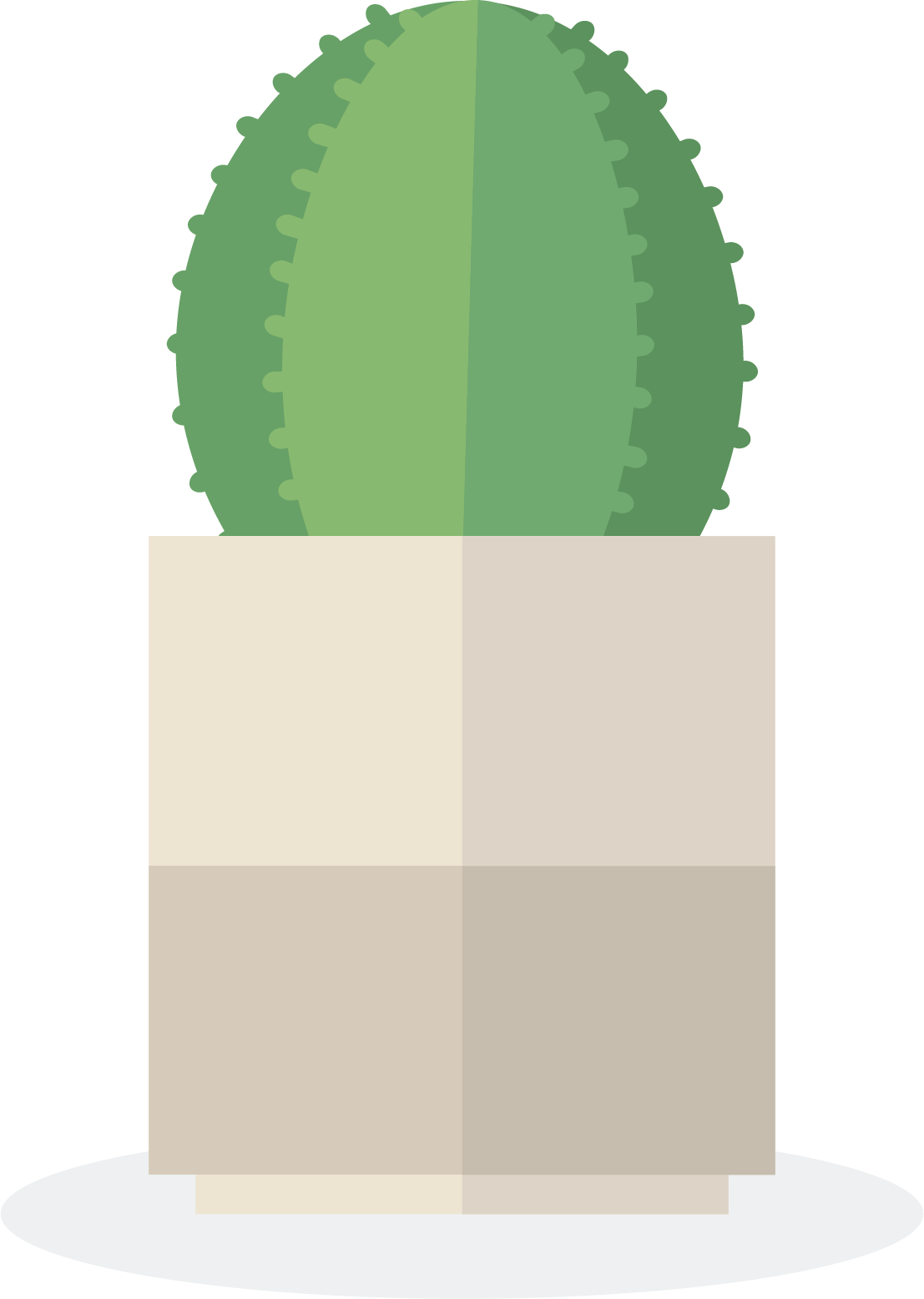 house plant