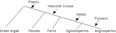 IMAGE imgs/220C_03Lecture01.gif