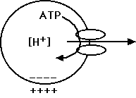 IMAGE imgs/220C_06Lecture01.gif