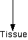 IMAGE imgs/220C_10Lecture01.gif