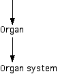 IMAGE imgs/220C_10Lecture02.gif