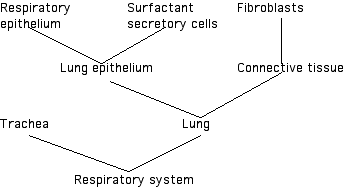 IMAGE imgs/220C_10Lecture03.gif