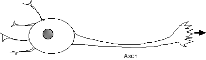 IMAGE imgs/220C_11Lecture01.gif
