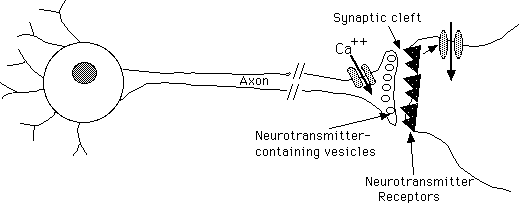 IMAGE imgs/220C_17Lecture01.gif
