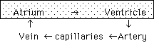 IMAGE imgs/220C_18Lecture01.gif