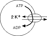 IMAGE imgs/220C_19Lecture01.gif