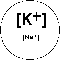 IMAGE imgs/220C_19Lecture02.gif