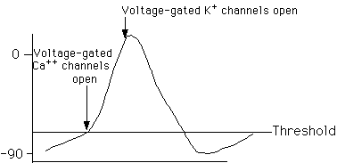 IMAGE imgs/220C_19Lecture04.gif