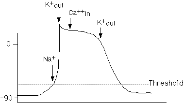 IMAGE imgs/220C_19Lecture06.gif