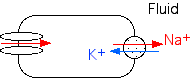 IMAGE imgs/220C_26Lecture01.gif