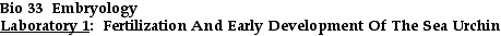 IMAGE imgs/Lab101.gif