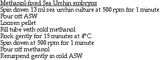 IMAGE imgs/Sea_Urchin_solutions04.gif