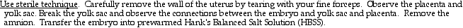 IMAGE imgs/Whisker01.gif