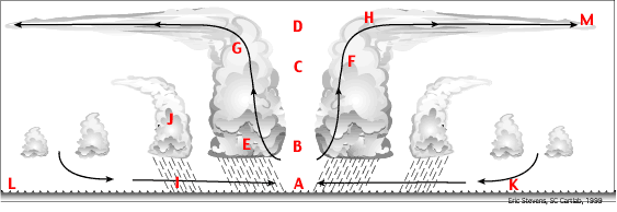 Diagram of Hurricane